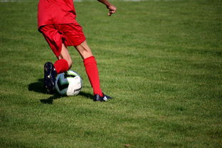 开云官方网站-意甲裁判语义辅助判罚系统提升比赛公平性研究，意甲裁判组