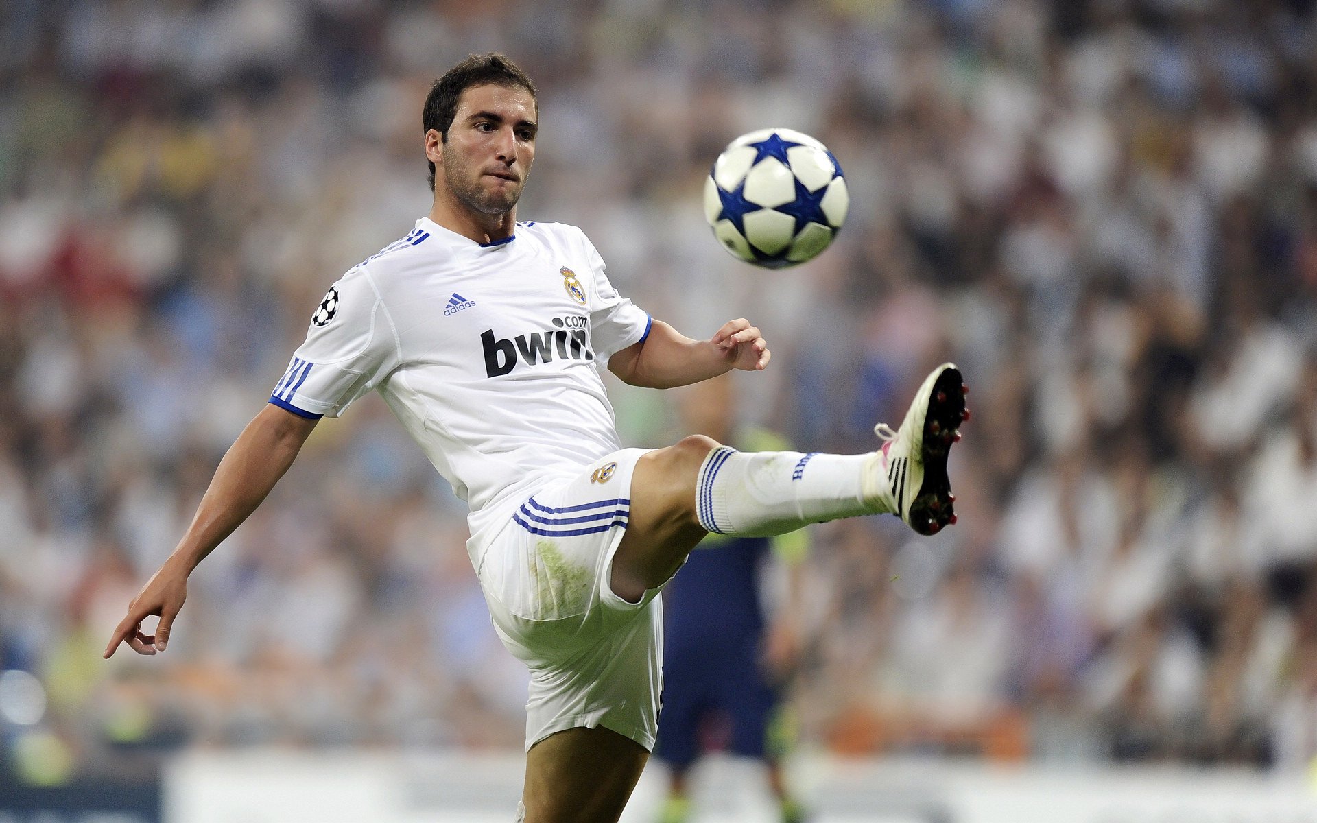 “未来新星：年度潜力排名榜单”，未来潜力新品